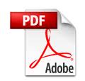 .pdf icon